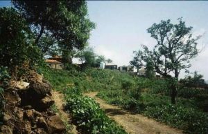 Hinten im Tal von Sao Miguel.  (Aufgenommen bei einer Wanderung mit Peter Trunner - ehem. Casa Amizade, inzwischen leider verschollen)